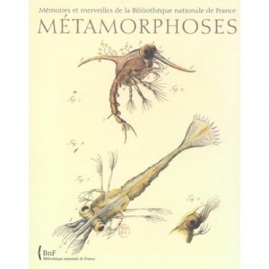 Memoires Et Merveilles De La Bnf , Metamorphoses - Beatrice Maire