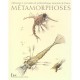 Memoires Et Merveilles De La Bnf , Metamorphoses - Beatrice Maire