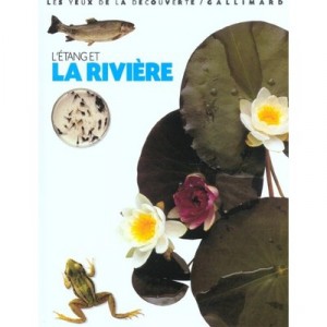 The pond and the River - Steve Parker