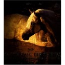 Ma Vie Avec Les Chevaux - Robert Vavra
