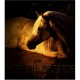 Ma Vie Avec Les Chevaux - Robert Vavra