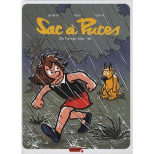 Sac A Puces T.7 , De L'orage Dans L'air - Falzar , Zidrou , De Brab