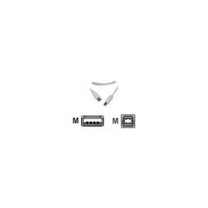 Belkin (MC922ABE-2M) USB 2.0
