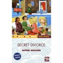 Secret Divorce - Sophie Michard