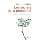 L'economie Expliquee A La Fille T.2 , Les Secrets De La Prosperite - Andre Fourcans