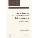 Securisation Des Architectures Informatiques Exemples Concrets Traite Ic2 Serie Informatique Et Syst - Boulanger