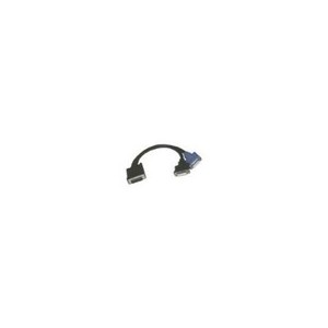 Mclsamar Adaptateurs (CG-524C) Câble DVI