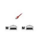 Cat. 6 FTP Mclsamar Cables et cordons réseaux (FCC6BM-5M/R)