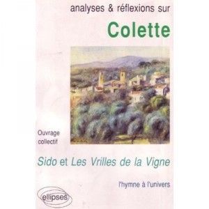 Analyses Et Reflexions Colette - Collectif
