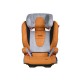 Recaro Monza punched Frozen - 6142.20905.