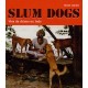 Slum Dogs , Vies De Chiens En Inde - Eloise Leyden