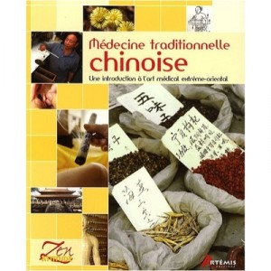 Medecine Traditionnelle Chinoise , Une Introduction A L'art Medical Extreme-oriental - Collectif