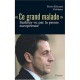 Ce Grand Malade , Sarkozy Vu Par La Presse Europeenne - Pierre-edouard Deldique