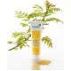 ARGILETZ Masque argile jaune tube
