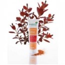 ARGILETZ Masque argile rouge tube