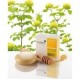 ARGILETZ Savon argile jaune au miel 100g