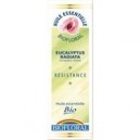 Biofloral Huile Essentielle Bio Eucalyptus radiata