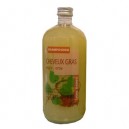 Cosmo Naturel Shampooing Cheveux gras Bio