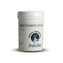 DELATEX Phytothérapie Crème Phytominceur
