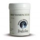 DELATEX Phytothérapie Crème Phytominceur