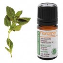 Florame Camomille matricaire Bio Matricaria recutita Huile essentielle