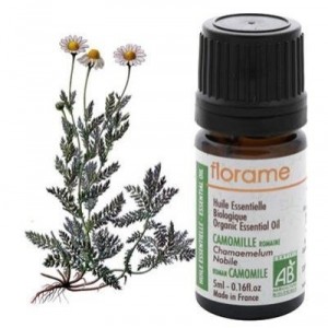Florame Camomille romaine Bio Chamaemelum nobile huile essentielle