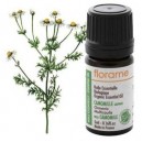 Florame Camomille sauvage Maroc Bio Ormenis multicolis Huile essentielle