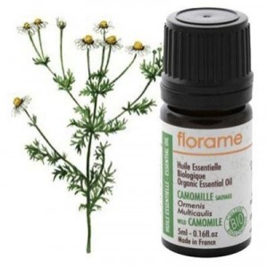 Florame Camomille sauvage Maroc Bio Ormenis multicolis Huile essentielle