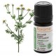 Florame Camomille sauvage Maroc Bio Ormenis multicolis Huile essentielle