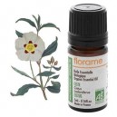 Florame Ciste Bio Cistus ladaniferus Huile essentielle