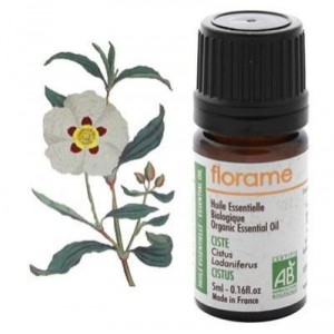 Florame Ciste Bio Cistus ladaniferus Huile essentielle