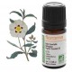 Florame Ciste Bio Cistus ladaniferus Huile essentielle