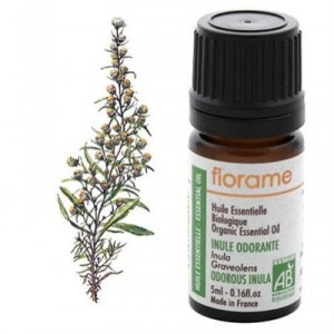 Florame Inule odorante Bio Inula graveolens Huile essentielle
