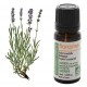 Florame Lavande fine d altitude Bio Lavandula Angustifolia Huile essentielle