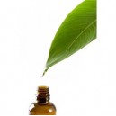 Florame Nard Bio Nardostachys jatamansi Huile essentielle