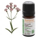 Florame Verveine vraie Bio Lippia citriodora Huile essentielle