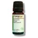 Florame Huile Essentielle Bio Eucalyptus Globulus