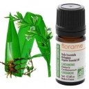 Florame Cardamome Bio Elettaria cardamomum Huile essentielle