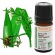 Florame Cardamome Bio Elettaria cardamomum Huile essentielle