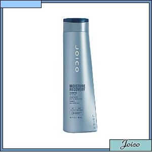 Joico Moisture Recovery Soin Cheveu Shampoo Shampooing