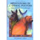 Meditation De L'animal Pouvoir , Voyages Chamaniques - Scully