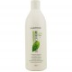 Matrix Nutrition Shampooing fortifiant Biolage Fortetherapie Aide à prévenir la cassure et à réparer les ch...