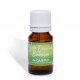 NETLAB PHARMA Huile Essentielle Bio de Cajeput