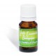NETLAB PHARMA Huile Essentielle Bio de Cannelle feuille