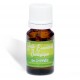 NETLAB PHARMA Huile Essentielle Bio de Cyprs