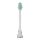 Panasonic EW 0911 Brossettes Dentacare pour tout Modèle Import Allemagne