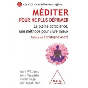 Mediter Pour Ne Plus Deprimer , La Pleine Conscience, Une Methode Pour Vivre Mieux - Collectif