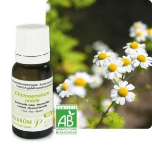 PRANAROM Huile Essentielle Camomille noble