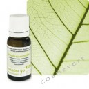 PRANAROM Huile essentielle Criste marine BIO