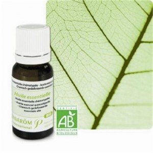 PRANAROM Huile essentielle Lédon du Groënland BIO